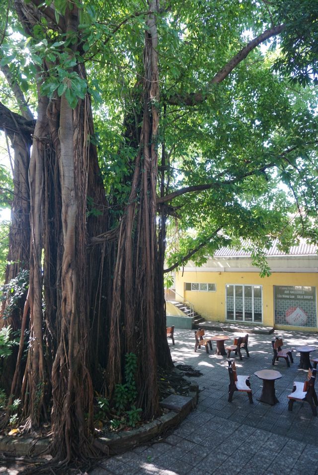 峴港|占婆博物館