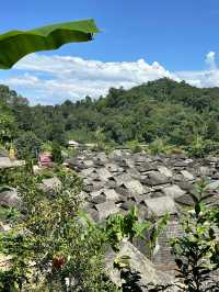 在景邁山，輕易收穫一場日出雲海。