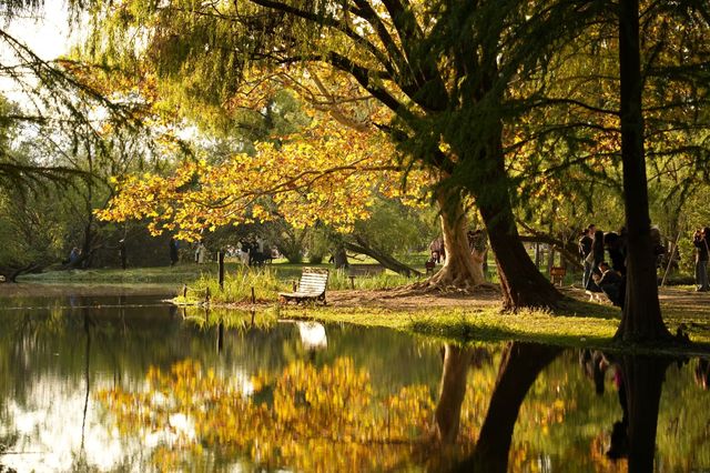 森林公園的光與影。