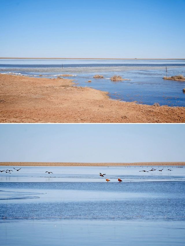 內蒙古呼和浩特等地2日遊 玩轉大草原不是夢。