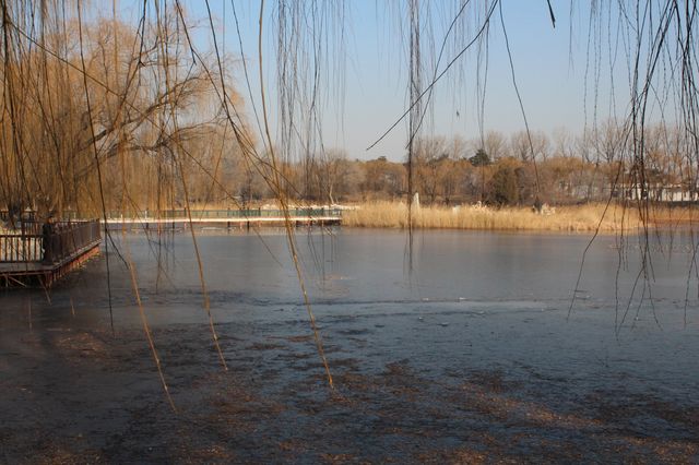 圓明園——歷盡滄桑的萬園之園