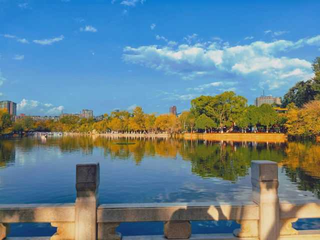 昆明｜初冬的翠湖公園 已經美得不像話了