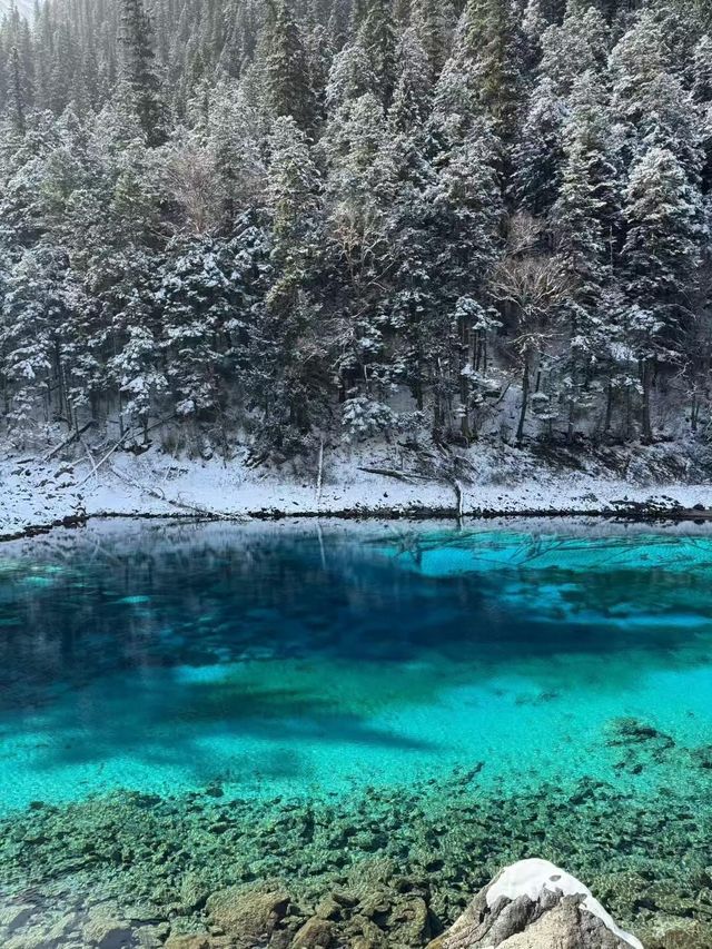 跨年要去成都-九寨溝旅遊 美景震撼人心