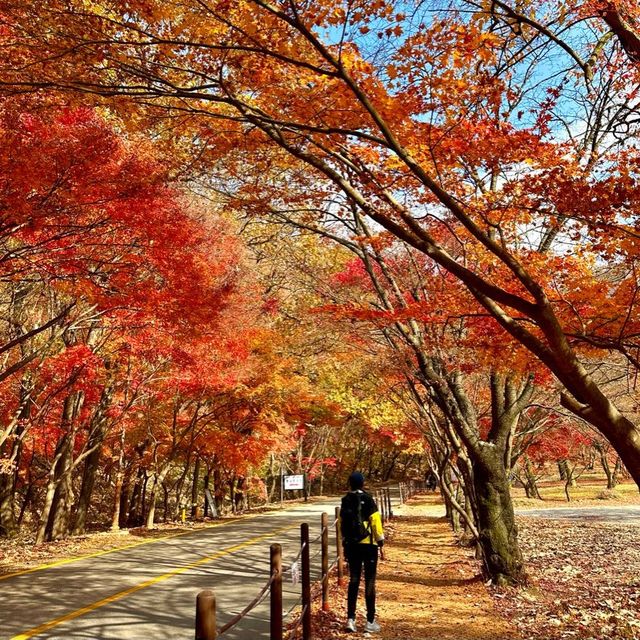 The most beautiful autumn place in korea . 