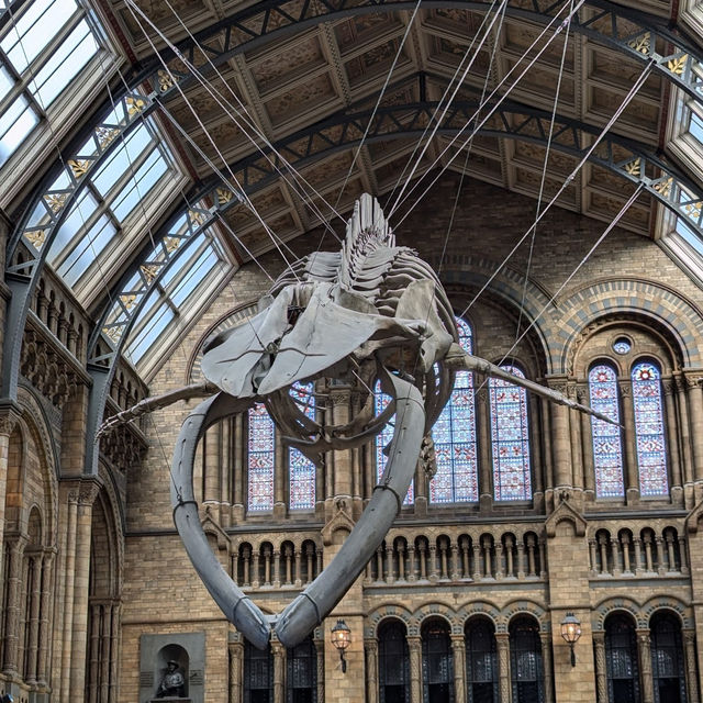 Natural History Museum