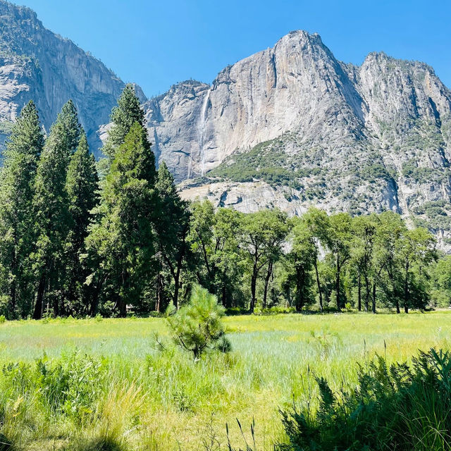 Nature’s Majestic Canvas Unfolds at Yosemite – Where Every Trail Leads to Wonder!