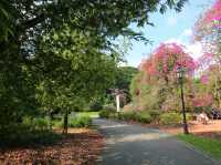 A sunny day walk at Botanic Gardens