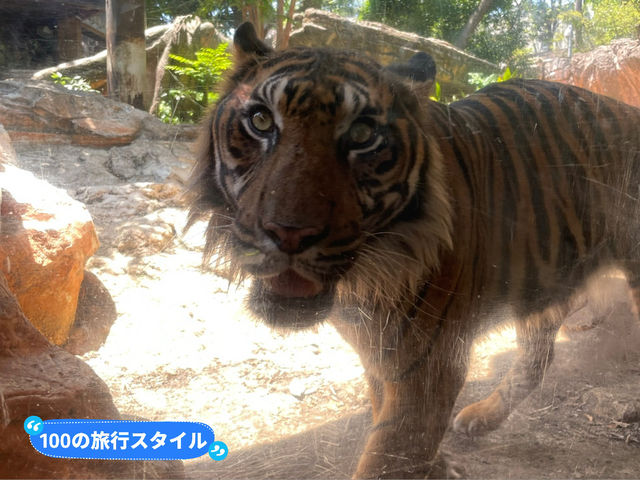 【東京】上野動物園🐘