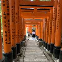 Journey Through A Thousand Torii at Fushimi Inari Shrine