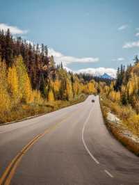 Fall in Love with the Drive to Jasper 