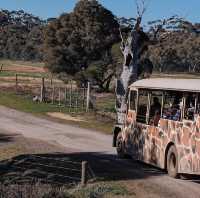 Wild Encounters: A Day at Melbourne Wildlife Park 