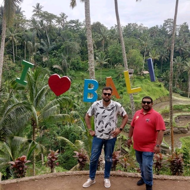 UBUD Rice Terrace - A must Visit 