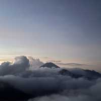 Do Ijen and Bromo crater worth to visit? 