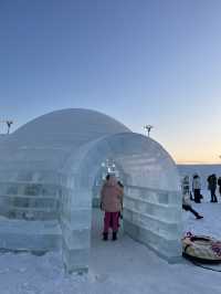 Harbin Ice and Snow World: A Winter Wonderland of Dreams