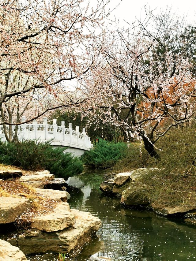 北京中國園林博物館，園林精萃，匯聚南北，一站收穫