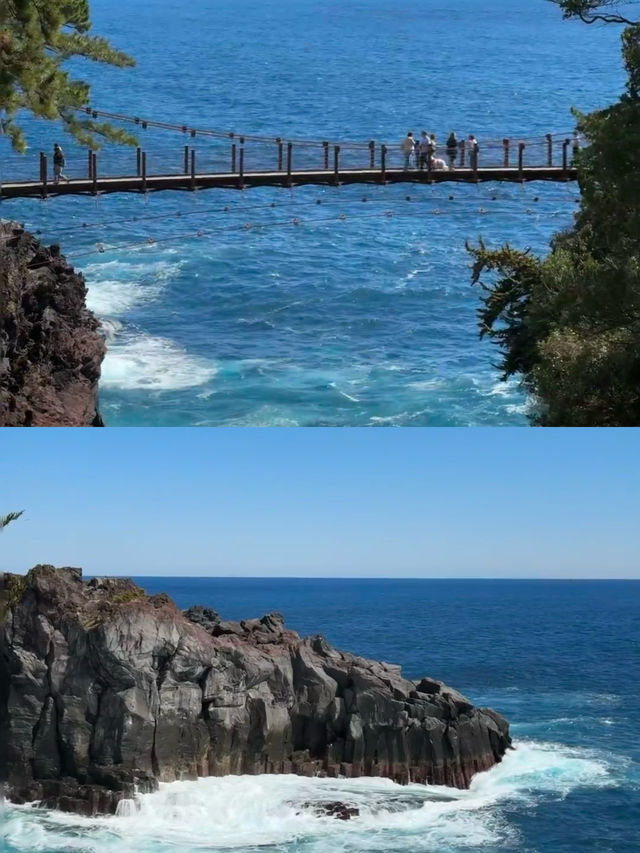 東京伊豆一日緊湊版 大室山+城崎海岸