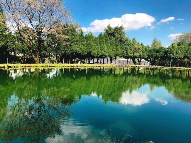 崇聖寺|三塔倒影公園。