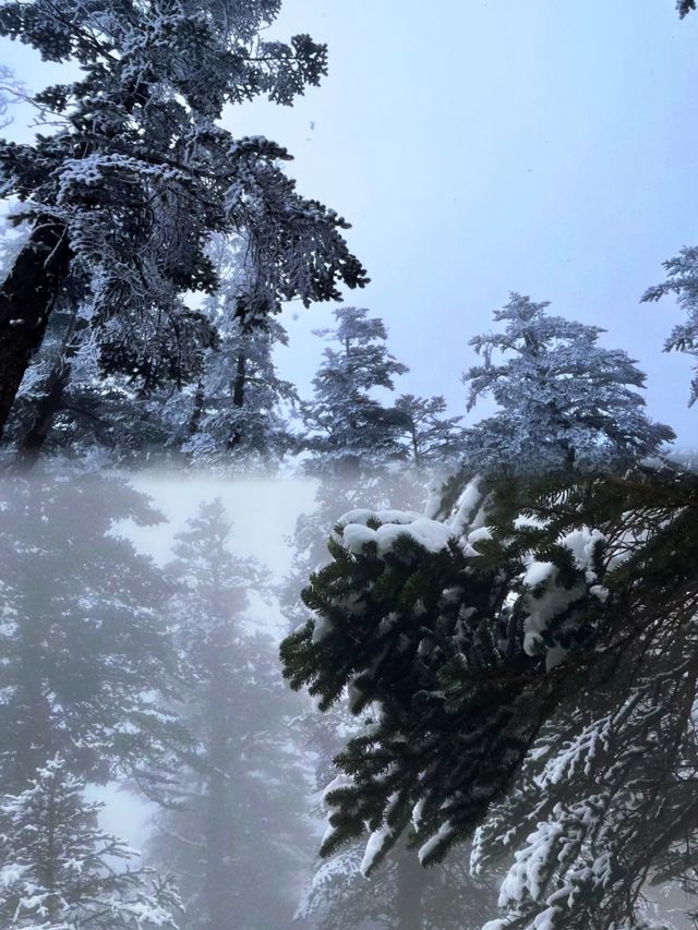 成都周邊，西嶺雪山冬日探險。