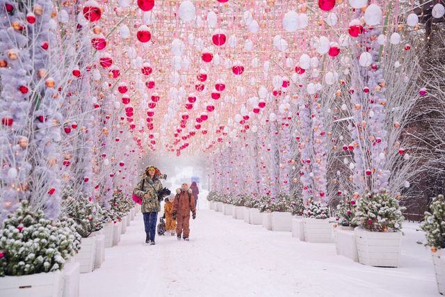 莫斯科的雪景公園