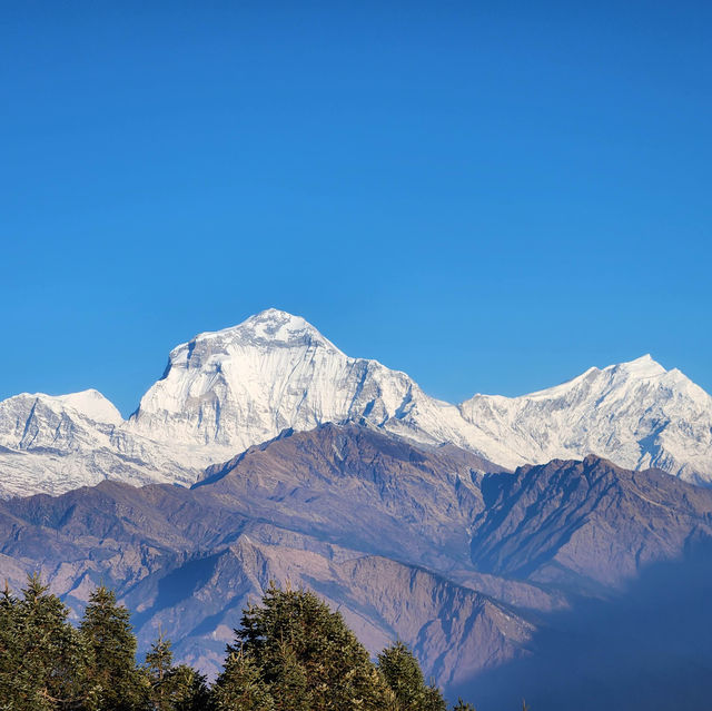 Chasing sunrises and stunning vistas at Poon Hill  🏔️