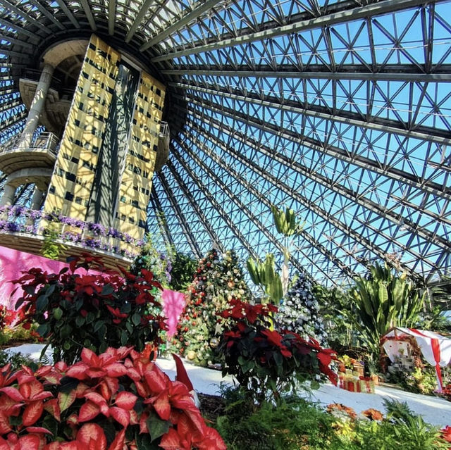 如美地植物園：春天美麗景點，適合任何時間和場景