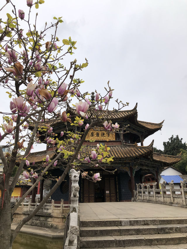 Peaceful Yuantong Temple in Kunming, Yunnan 🇨🇳