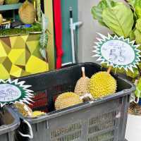 "Indulgent Fusion: A Must-Try Musang Cendol at Hernan Durian in Melaka Jonker"