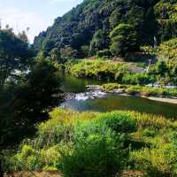 保津川漂流•渡月橋•竹林小徑•嵯峨野觀光小火車