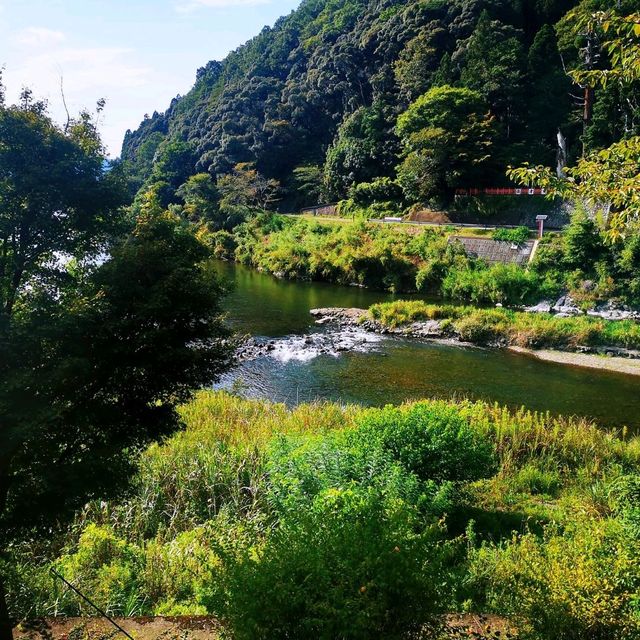 保津川漂流•渡月橋•竹林小徑•嵯峨野觀光小火車