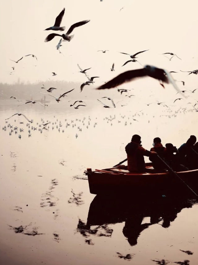 Yamuna Ghat: Where Spirituality Meets Scenic Beauty