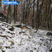 賞楓途中遇到雪！白雪覆蓋的夢幻蔦溫泉