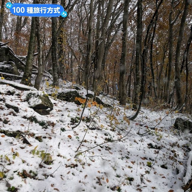 賞楓途中遇到雪！白雪覆蓋的夢幻蔦溫泉