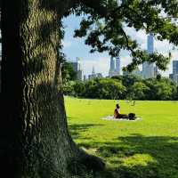 Summer at Central Park, New York 💚