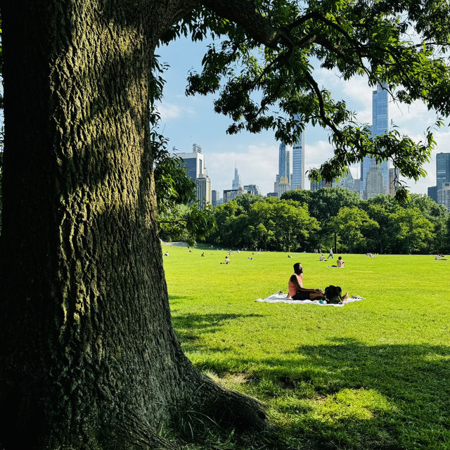 Summer at Central Park, New York 💚