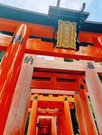 Day spent at a beautiful place Fushimi Inari Taisha🫶