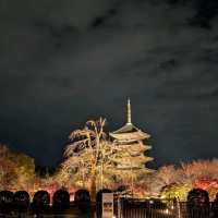 🇯🇵京都「東寺」 倒影如畫的夜楓🍁之旅！