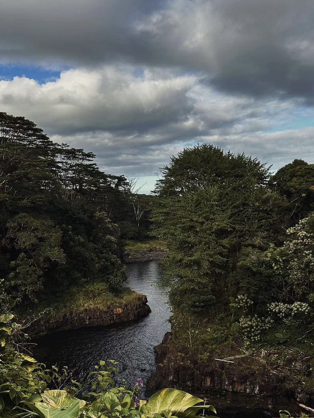 Akaka Falls: Hawaii’s Majestic Waterfall Wonder