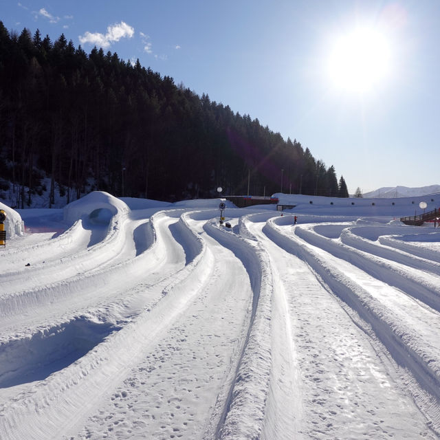 零技巧的雪地遊戲🇨🇭❄️☃️