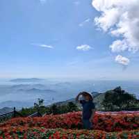 Bà Na Hills: Fun Above the Clouds