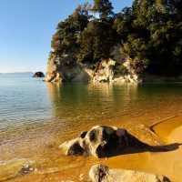 Unleashing Wonder in Abel Tasman