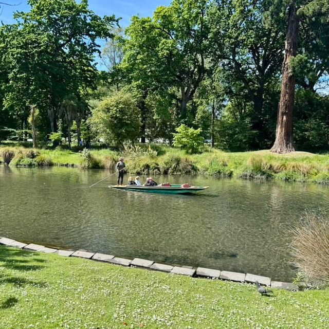 Christchurch Botanic Gardens 🌲🌴🌱🌿🍄🌹🌺🌾🌸