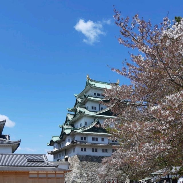 ศึกษาประวัติศาสตร์ @ Nagoya Castle