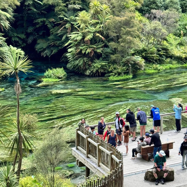 Crystal Clear Magic: Blue Springs, Putaruru