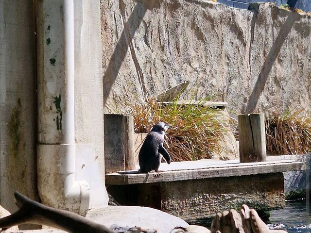 Visit the National Aquarium of New Zealand