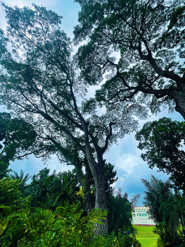 新加坡｜呼吸清新，必到福康寧公園