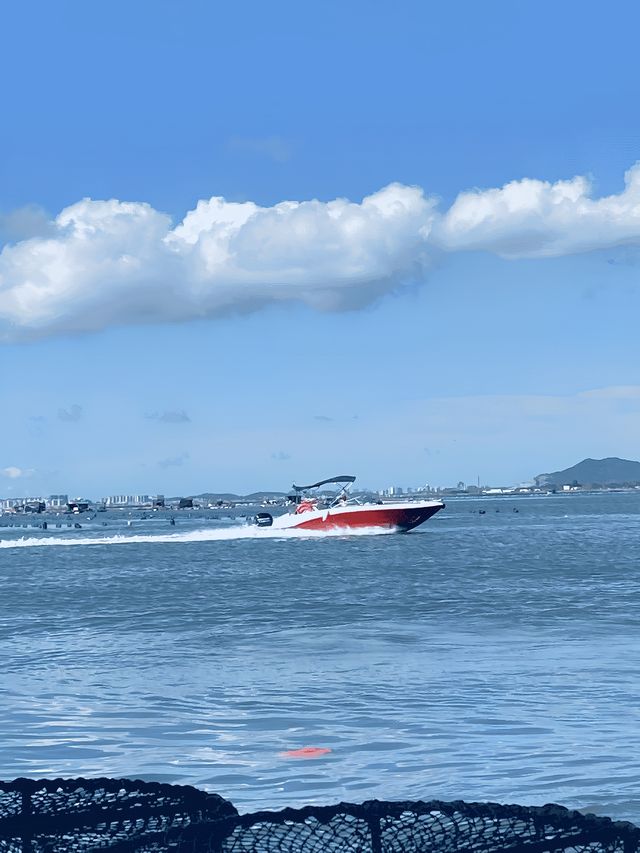 東山島【關於遊玩的景點】