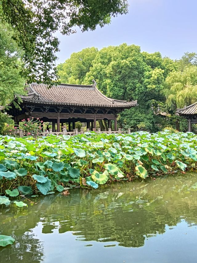 憶江南 沈園記。