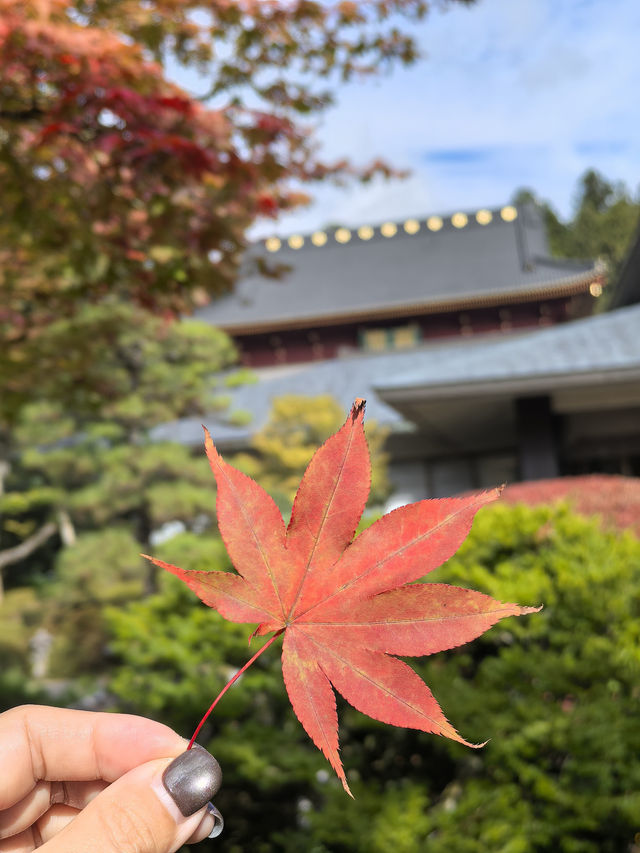 Exploring Nikko's World Heritage Sites: Two Shrines and One Temple