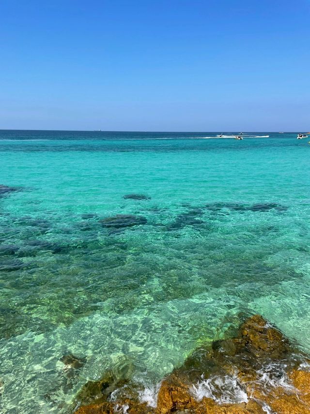 芭堤雅格蘭島一日遊。