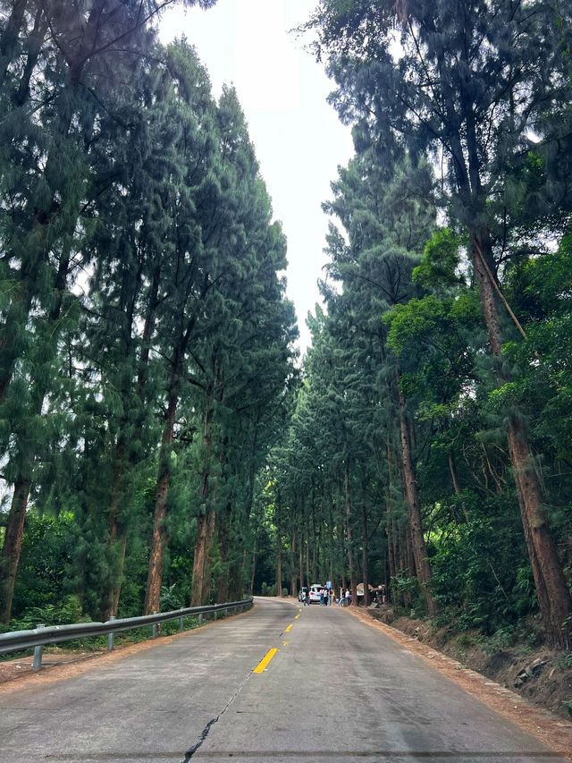 3天2夜 玩遍廣東汕頭-南澳島-潮州別錯過。